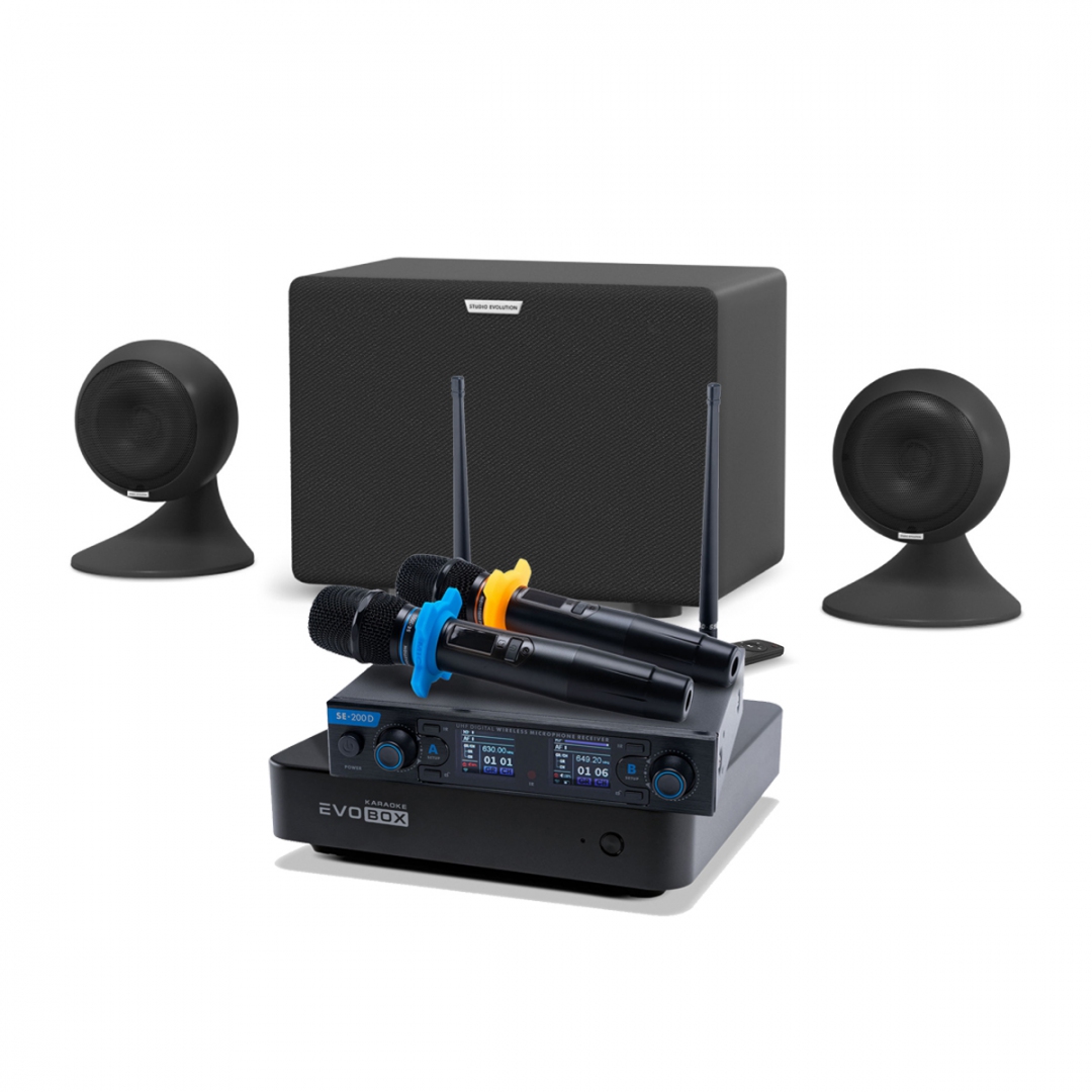 караоке-комплект EVOBOX + EvoSound Sphere 2.1 в Пугачеве