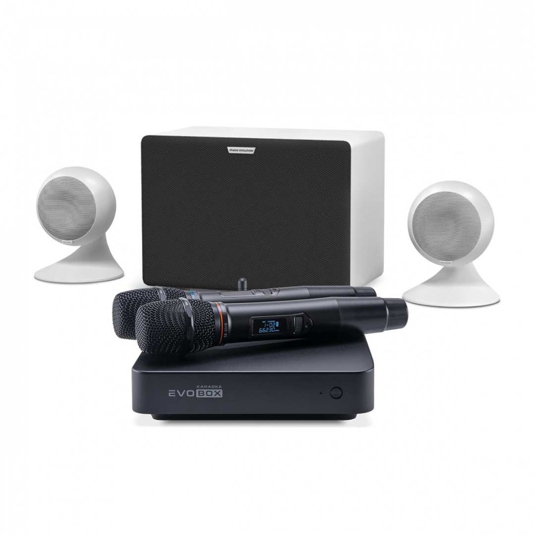 караоке-комплект EVOBOX Classic + EvoSound Sphere 2.1 в Пугачеве