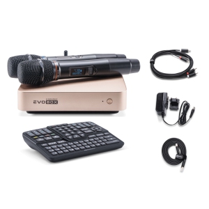 EVOBOX Classic караоке-система для дома в Пугачеве