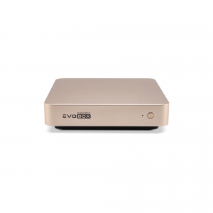 EVOBOX с микрофонами в Пугачеве